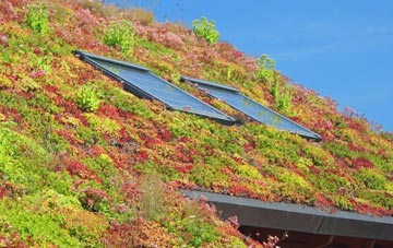 Manadon living roof systems